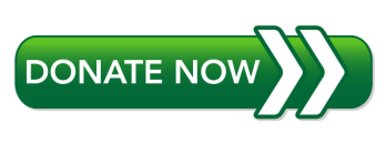 Donate-Now-Button